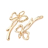 Alloy Pendants FIND-C094-08G-2