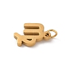 304 Stainless Steel Charms STAS-R001-04G-06-2