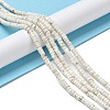 Natural Howlite Beads Strands G-E604-A01-B-2