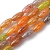 Handmade Lampwork Beads LAMP-B051-02B-1