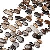 Natural Petrified Wood Beads Strands G-C253-06-2