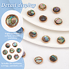 BENECREAT 20Pcs Natural Abalone Shell/Paua Shell Copper Wire Wrapped Flat Round Cabochons FIND-BC0005-40-4