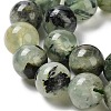 Natural Prehnite Beads Strands G-P322-48-10mm-01-4