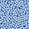 Glass Seed Beads SEED-T007-01N-2