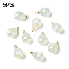 5Pcs UV Plating Acrylic Pendants FIND-YW0007-41C-1