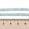 Natural Freshwater Shell Dyed Beads Strands SHEL-R100-11A-03-4