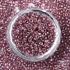 Glass Seed Beads X-SEED-S042-07A-04-2