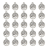Tibetan Style Alloy Pendants FIND-DC0006-12A-1