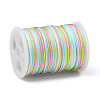 Segment Dyed Polyester Thread NWIR-I013-D-3