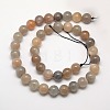 Natural Multi-Moonstone Beads Strands X-G-J157-6mm-06A-2