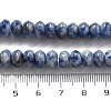 Natural Blue Spot Jasper Beads Strands G-P559-A15-01-5