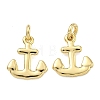 Brass Pendants KK-D229-10G-1