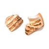 Natural Shell Bead Strands BSHE-P010-06-5