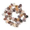 Natural Botswana Agate Beads Strands G-P604-A06-01-5