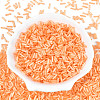 Glass Bugle Beads SEED-N007-28L-2