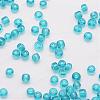 15/0 Glass Seed Beads SEED-J013-F15-19-3