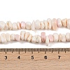 Natural Pink Shell Beads Strands X-SSHEL-L016-19-5