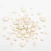 Synthetic Howlite Cabochons TURQ-AR0001-12A-4