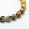 Round Natural Crazy Lace Agate Beads Strands G-P058B-01-2