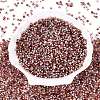 Picasso Glass Seed Beads SEED-Q041-02M-2