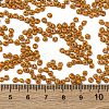 8/0 Baking Paint Glass Seed Beads SEED-M012-02A-51-4