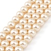 Preciosa® MAXIMA Crystal Nacre Pearls X-PRC-NPA10-71000-2