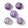 Natural Amethyst Beads G-L524-20Y-03-1