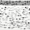  2 Strands Natural Black Rutilated Quartz Beads Strands G-NB0004-63-4