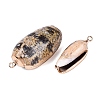 Electroplate Natural Spiral Shell Pendants SSHEL-Q100-53G-2