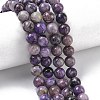 Natural Charoite Beads Strands G-C270-O02-05-1