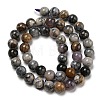 Natural Dendritic Jasper Beads Strands G-R494-A23-03-2