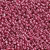 12/0 Glass Seed Beads E06900F2-3