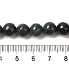 Natural Black Jade Beads Strands G-H067-A03-6MM-5