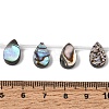 Natural Abalone Shell Paua Shell Beads Strands SH-CBA69D1-02-4