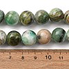 12MM Natural Green Line Jasper Round Beaded Necklaces GG-CBAA808-02P-D-5