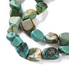 Natural Hubei Turquoise Beads Strands G-P497-01C-51-4