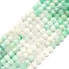 Natural Emerald Beads Strands G-G106-C09-03-1