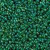 MIYUKI Round Rocailles Beads SEED-X0056-RR0354-3