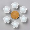 Transparent Acrylic Beads TACR-S152-09C-10-3