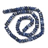Natural Sodalite Beads Strands G-L654-I12-01-3