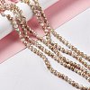 Drawbench Style Natural Freshwater Shell Beads Strands SHEL-F003-10B-2
