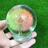 Glass Dandelion Crystal Ball PW-WG71865-02-1