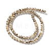 Natural Freshwater Shell Beads Strands SSHEL-B002-15-2