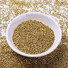 MIYUKI Delica Beads SEED-X0054-DB1832-2