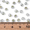 Silver Lined Glass Seed Beads SEED-T007-18A-03-4
