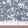 MIYUKI Round Rocailles Beads SEED-G007-RR0489-4