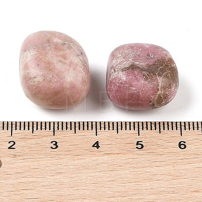 Natural Rhodonite Beads G-Z062-10C-1