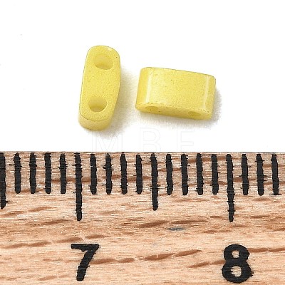 2-Hole Baking Paint Glass Seed Beads SEED-S023-17B-34-1