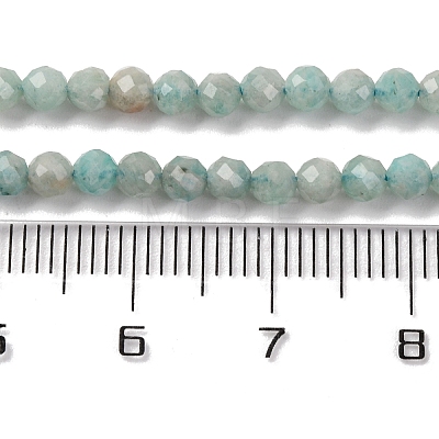 Natural Amazonite Beads Strands G-A235-A04-01-1