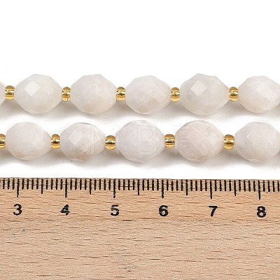 Natural White Moonstone Beads Strands G-N342-149I-13-1